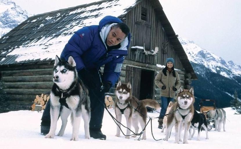 北京导盲犬乔乔,北京导盲犬乔乔最新消息