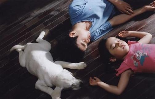 北京导盲犬乔乔,北京导盲犬乔乔最新消息