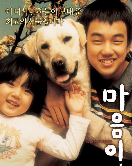 北京导盲犬乔乔,北京导盲犬乔乔最新消息