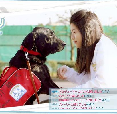 北京导盲犬乔乔,北京导盲犬乔乔最新消息