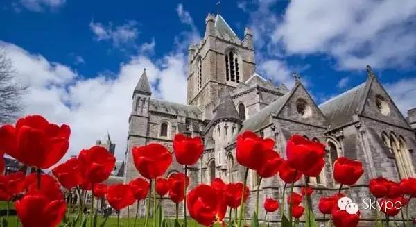 skype公平政策时间,skype怎么更改约会时间