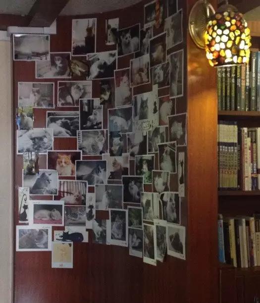 广州宠物咖啡馆,广州宠物咖啡厅推荐