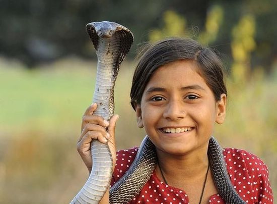 超级可爱的十大萌宠可以在家养,好养又干净的宠物萌宠