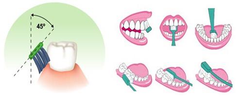 中老年人保护牙齿,中老年人保护牙齿有效方法