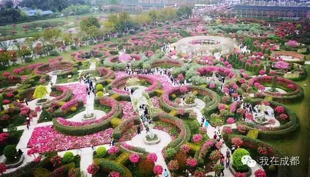 2022成都春季赏花地图,成都赏荷地图出炉啦