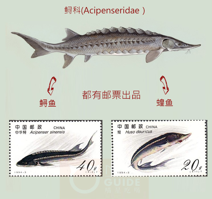 哈尔滨天价鱼明码标价了吗,哈尔滨天价鱼事件发生的原因