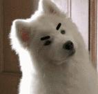 歪脖拯救世界,歪着脖子拯救地球图片