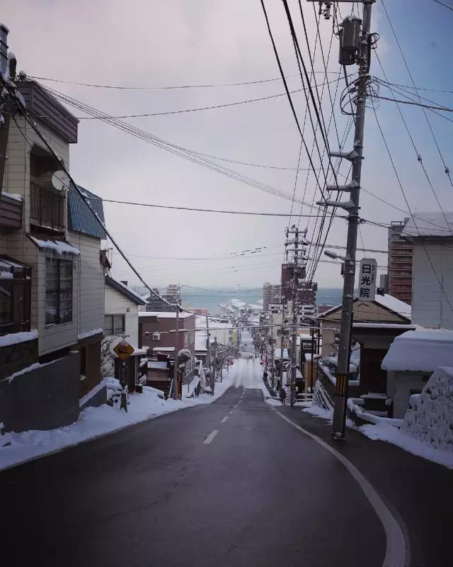 胡霍cp组合图片,胡霍霍cp动图