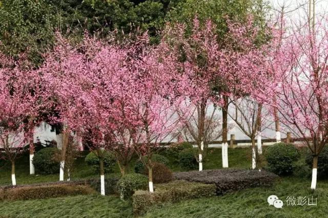 澶у江灞辩殑缇庢櫙,褰北鏄ュ鏃呮父