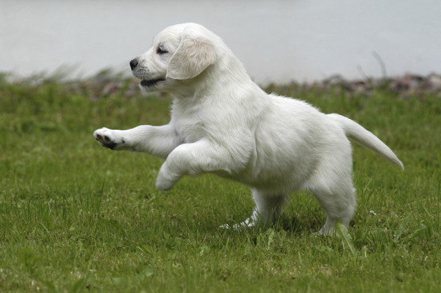 准妈妈的一些注意方面，为了孩子也要看看