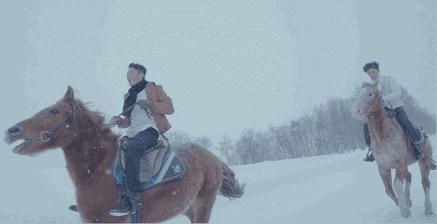 是胡不是霍，2016，最温情的冬季恋歌！虐死单身狗，纯虐！