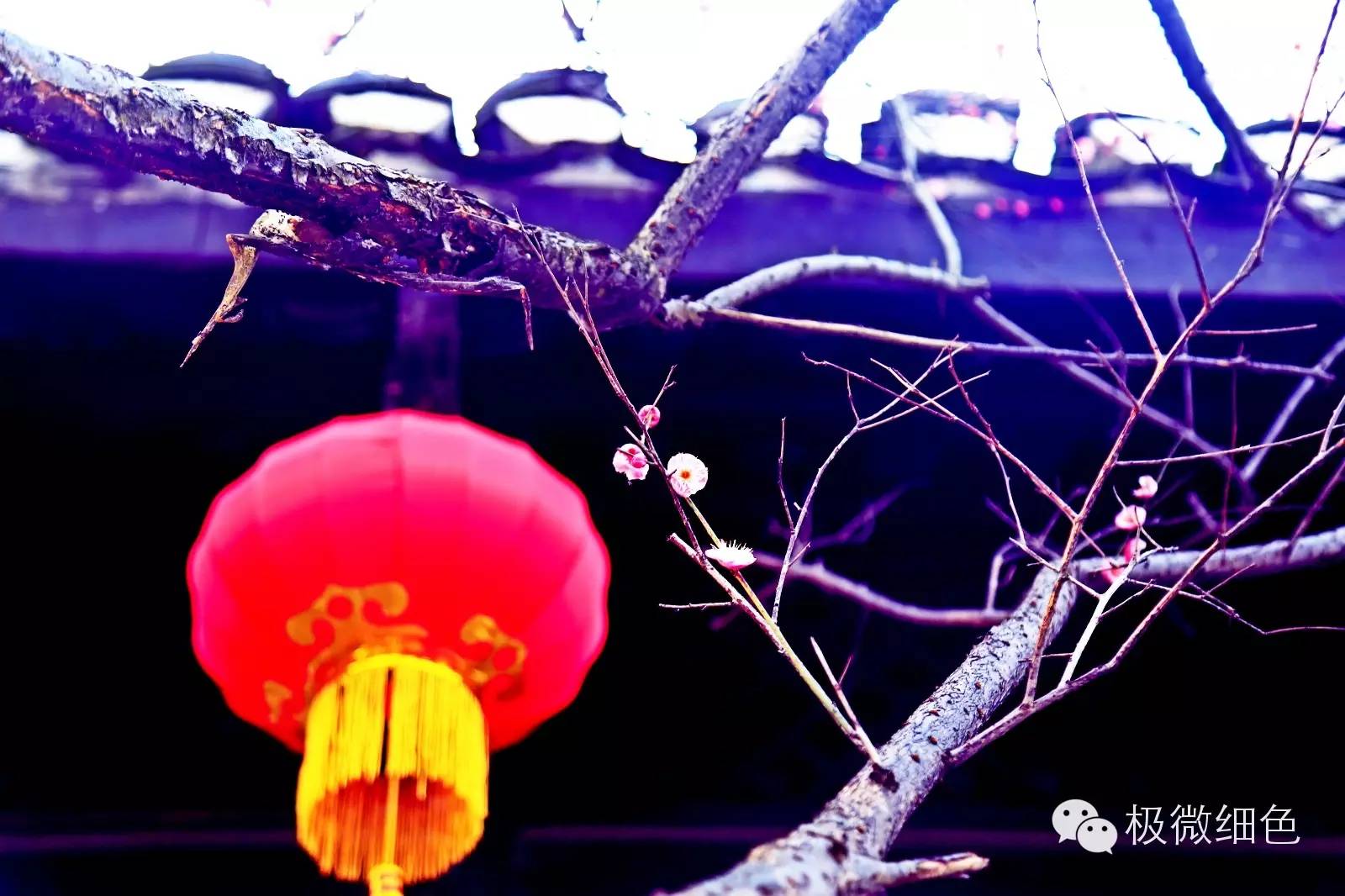 涔惧煄婀樿タ,婀樿タ涔惧煄鍙ゅ煄