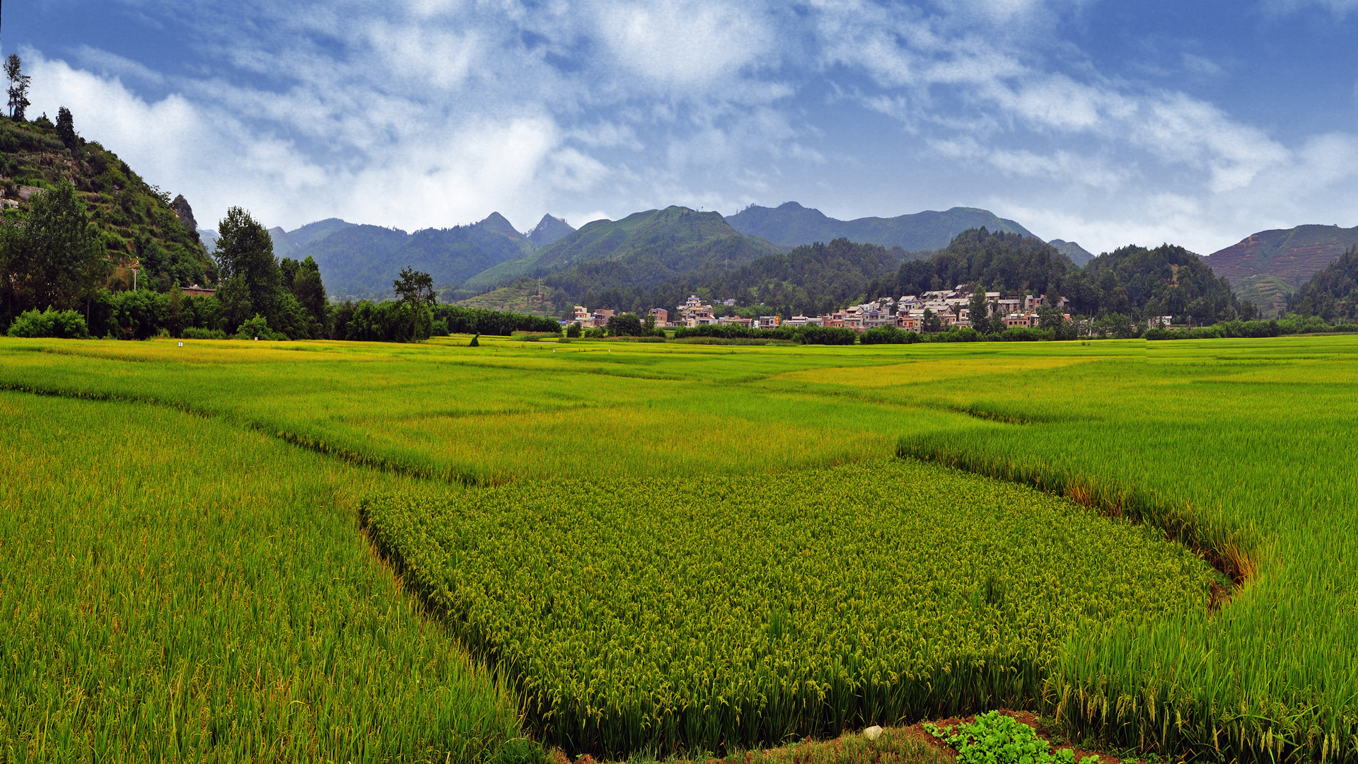 看看如今旧州镇终于找到了历史上夜郎自大的底气
