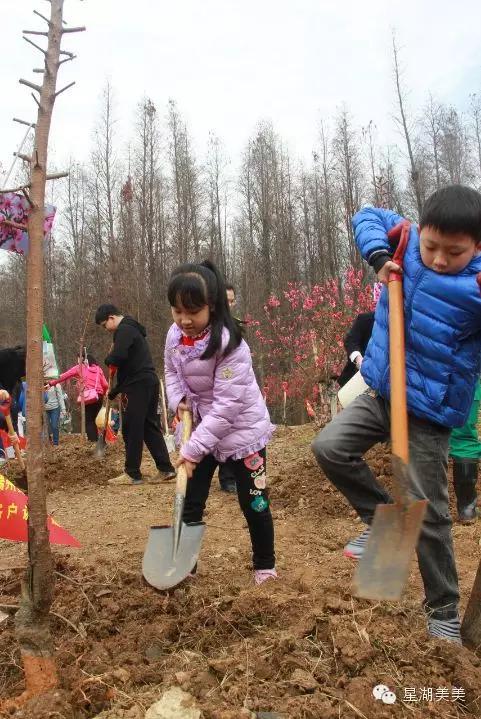 七星岩景区桃花,肇庆七星岩的桃花是什么颜色的