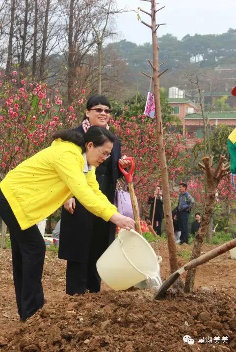 七星岩景区桃花,肇庆七星岩的桃花是什么颜色的