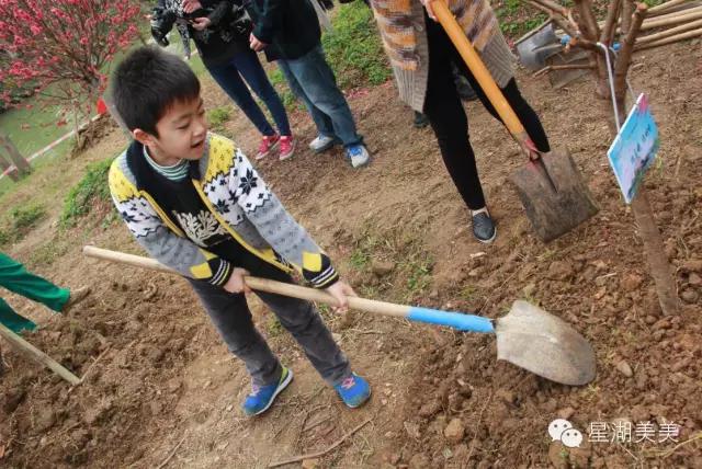 七星岩景区桃花,肇庆七星岩的桃花是什么颜色的