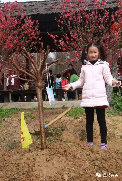 七星岩景区桃花,肇庆七星岩的桃花是什么颜色的