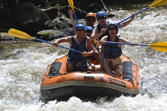 甄子丹儿子跆拳道红带，张晋被女儿“甜蜜家暴”，功夫二代太厉害