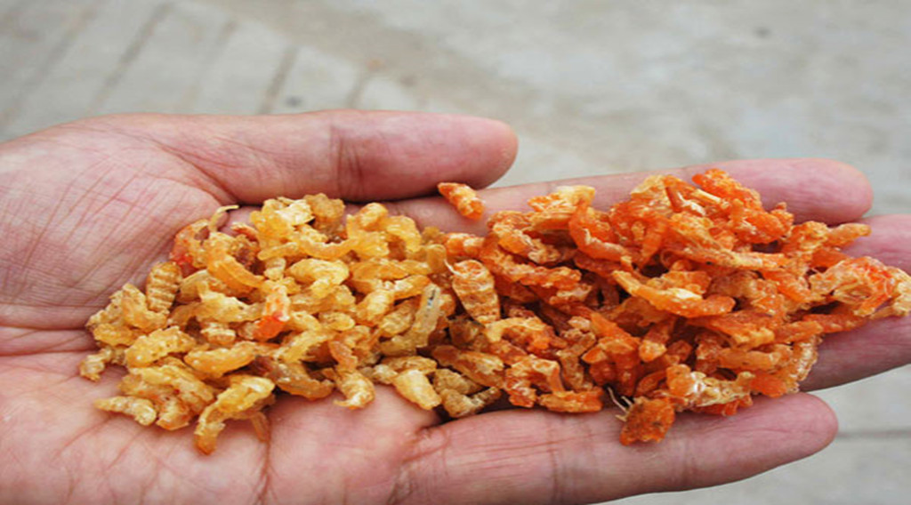 海米哪几种人不宜吃,海米选择