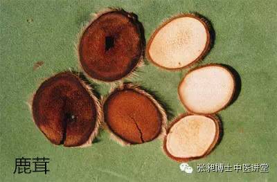 久病身体虚弱调养,久病以后体质虚弱吃什么