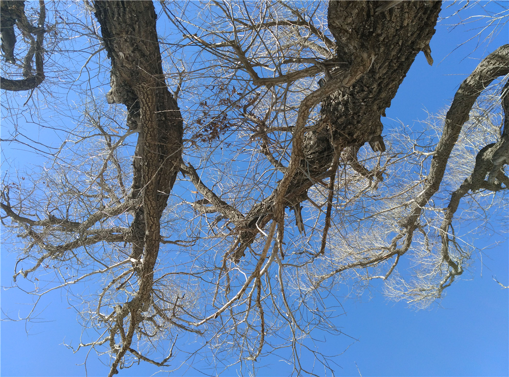 美，才是第一生产力——布拉格S详细体验