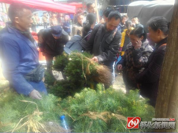 新晃侗族自治州凉伞镇,新农人年货大礼包