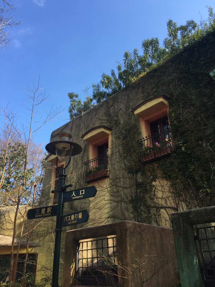 日本的冬天依旧色彩绚烂,冬季日本的冰雪阳光