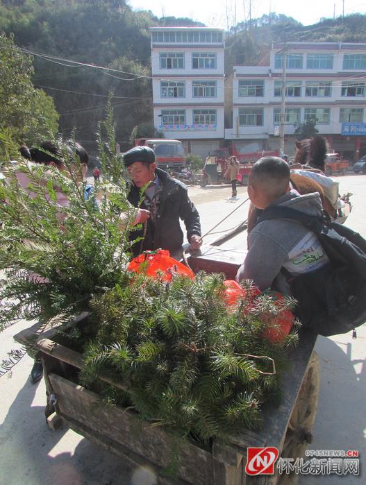 新晃侗族自治州凉伞镇,新农人年货大礼包