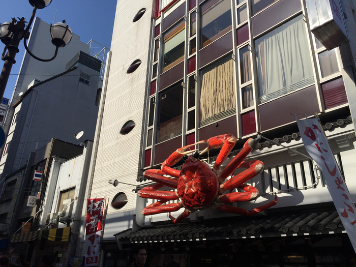 日本的冬天依旧色彩绚烂,冬季日本的冰雪阳光