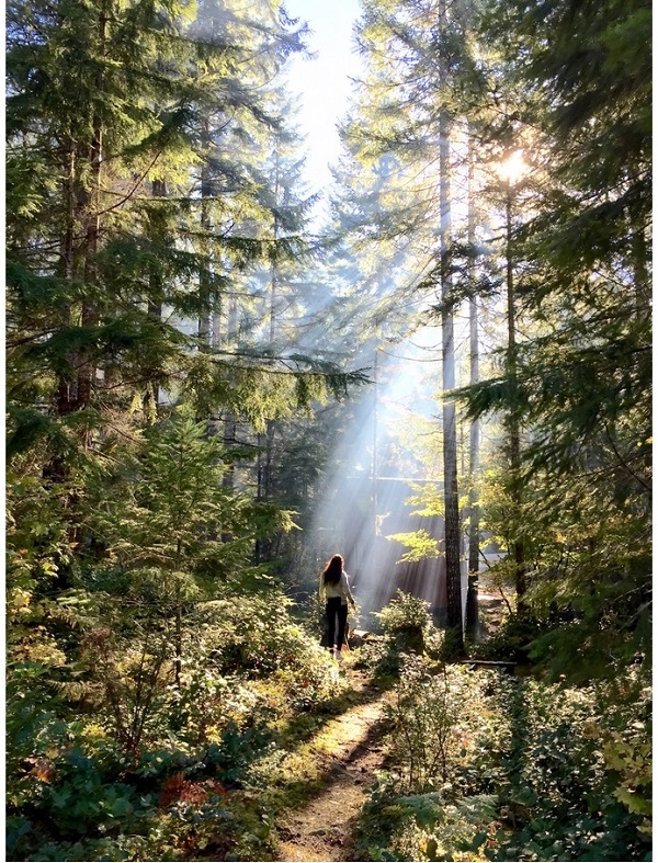 为什么现在的广告越来越难了,为什么做不到那么多的广告