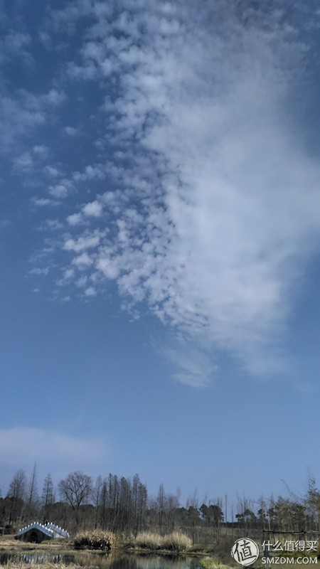 锤子t2手机怎样,锤子t2手机发布