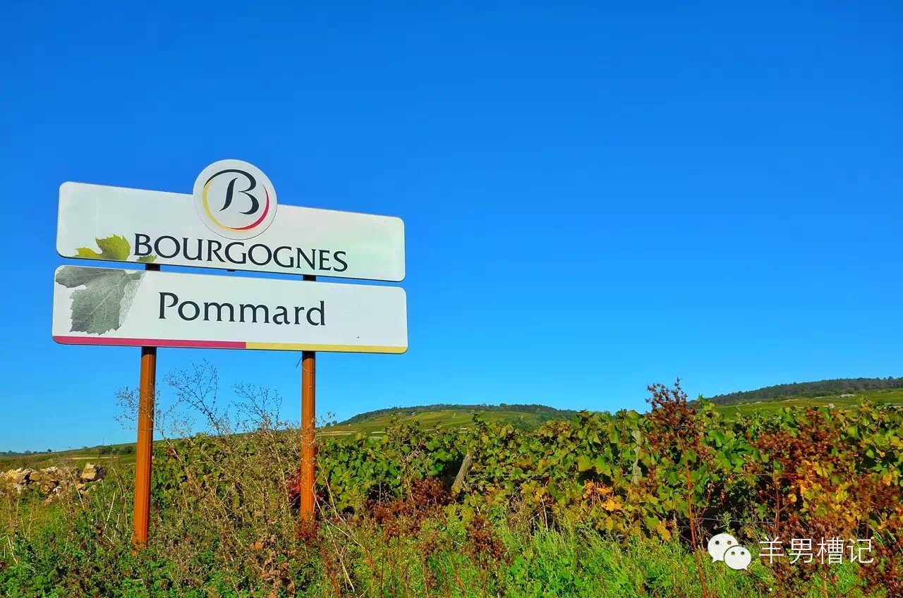 美人鱼里的红酒叫什么名字,美人鱼红酒罗曼尼康帝