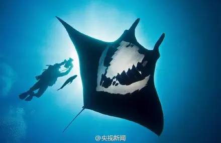 外地车杭州限行时间外能走高架吗,杭州浙a车辆限行日可以上高架吗