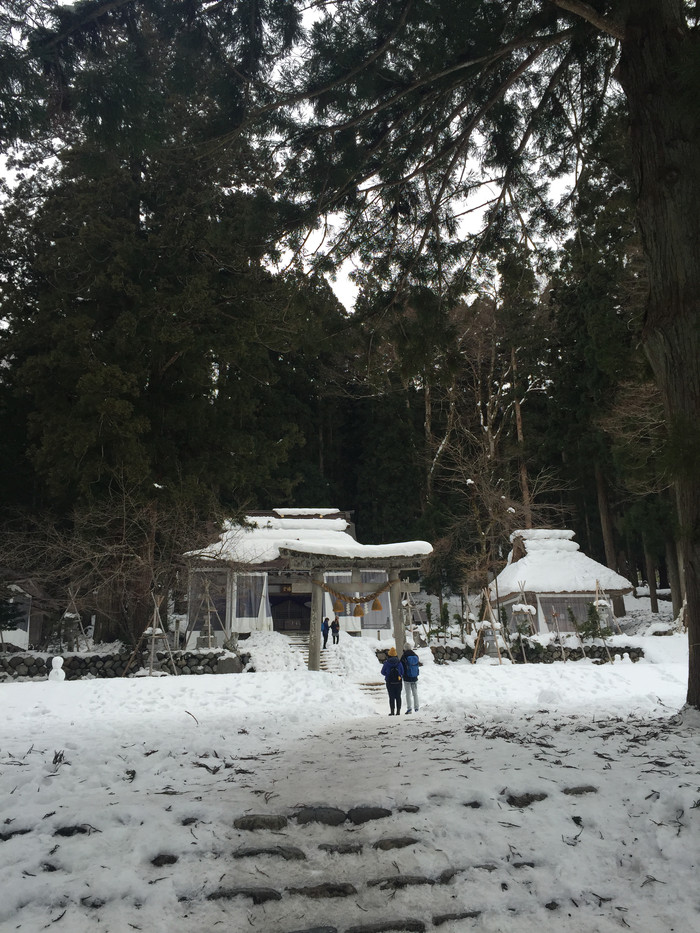 日本的冬天依旧色彩绚烂,冬季日本的冰雪阳光