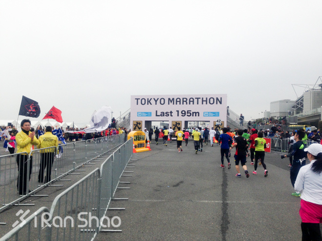 东京马拉松的最佳时间,东京马拉松起点在哪里