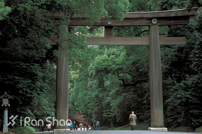 东京马拉松的最佳时间,东京马拉松起点在哪里