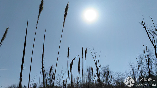 锤子t2手机怎样,锤子t2手机发布