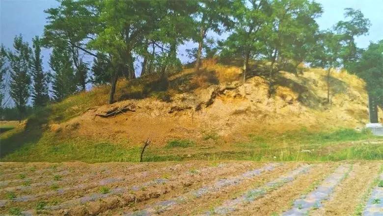 淄博有什么墓,淄博张店发现座古墓出土文物