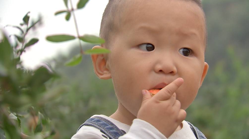 不用吐籽的石榴是哪种,吃石榴的正确方法石榴要不要吐籽