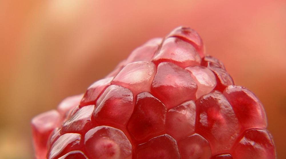 不用吐籽的石榴是哪种,吃石榴的正确方法石榴要不要吐籽