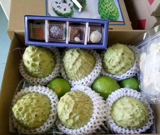 有阳光的日子,都不辜负|听台商李贤治在川“务农”的“庄园经”