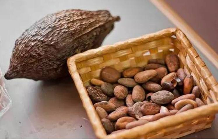 有阳光的日子,都不辜负|听台商李贤治在川“务农”的“庄园经”