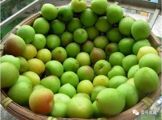 「健康」夏日凉果之王:一颗胜万药,排毒安神抗衰老!