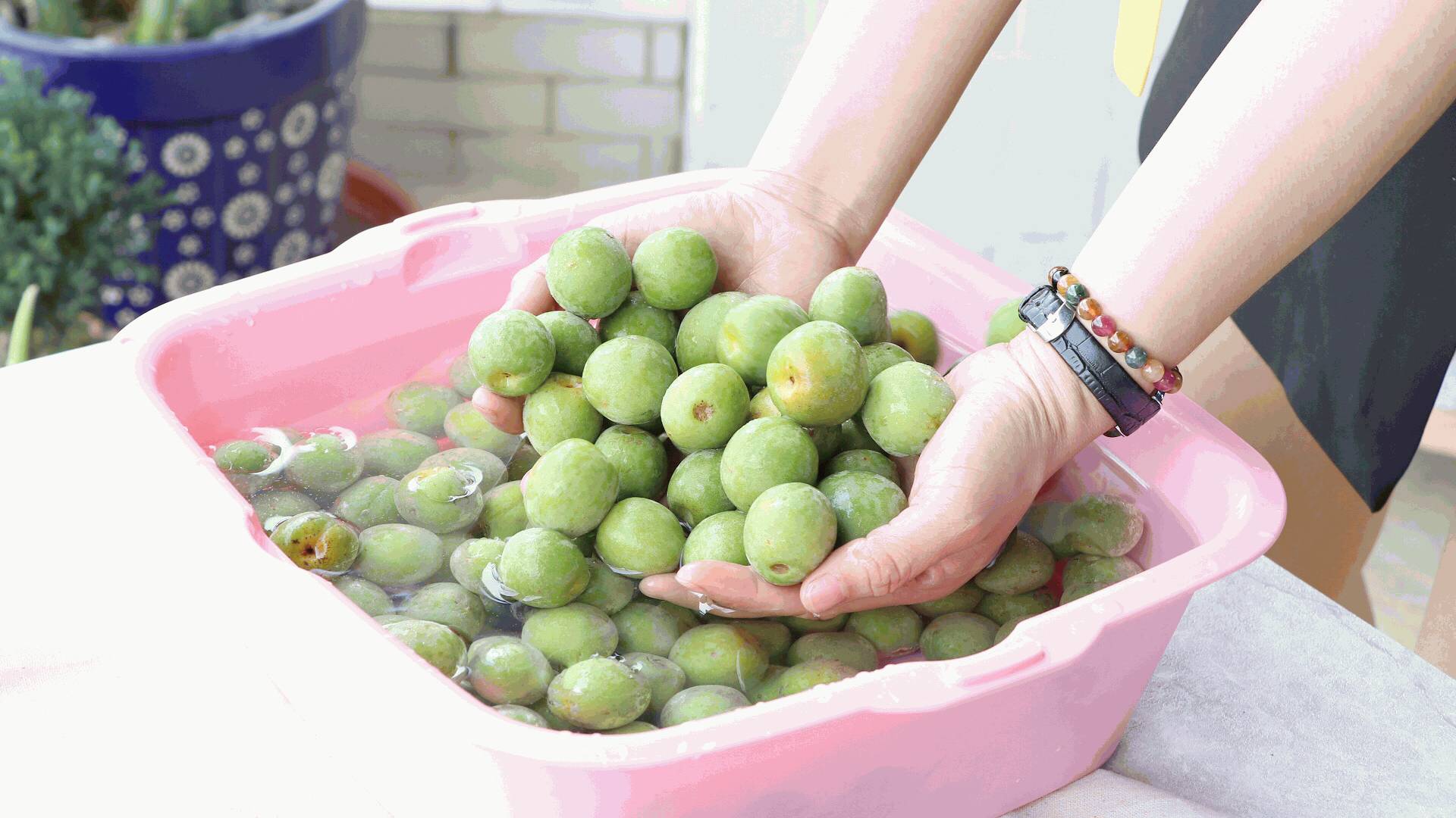 「健康」夏日凉果之王:一颗胜万药,排毒安神抗衰老!