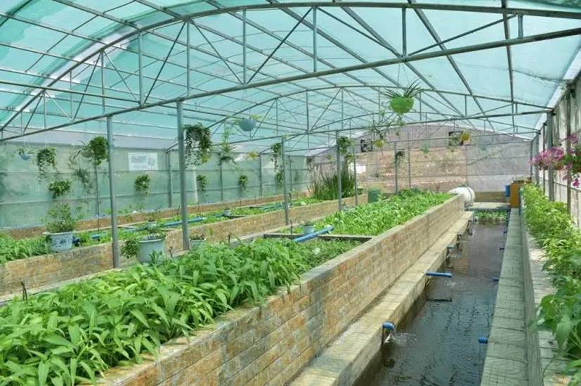 有阳光的日子,都不辜负|听台商李贤治在川“务农”的“庄园经”