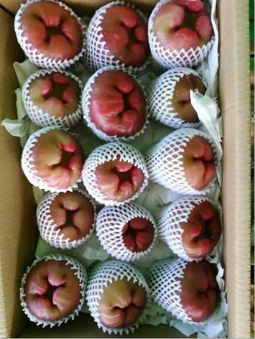 有阳光的日子,都不辜负|听台商李贤治在川“务农”的“庄园经”