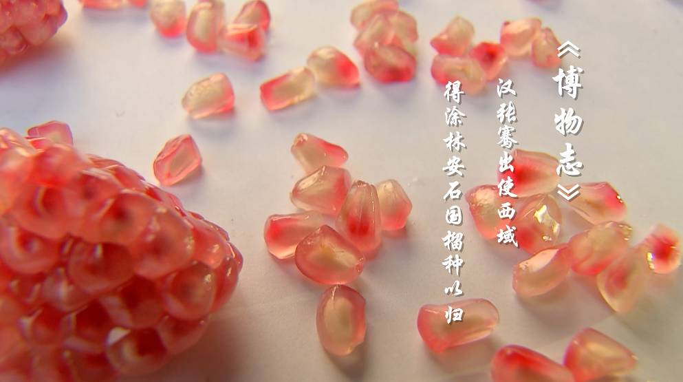 不用吐籽的石榴是哪种,吃石榴的正确方法石榴要不要吐籽