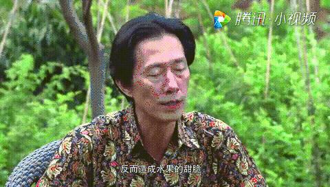 有阳光的日子,都不辜负|听台商李贤治在川“务农”的“庄园经”