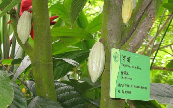 有阳光的日子,都不辜负|听台商李贤治在川“务农”的“庄园经”