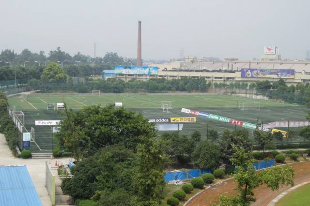 成都126家体育馆免费开放,成都的公共体育馆免费开放有哪些